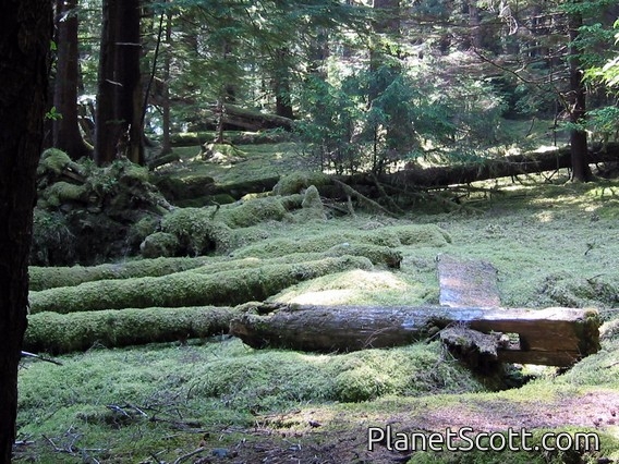 Gwaii Haanas National Park